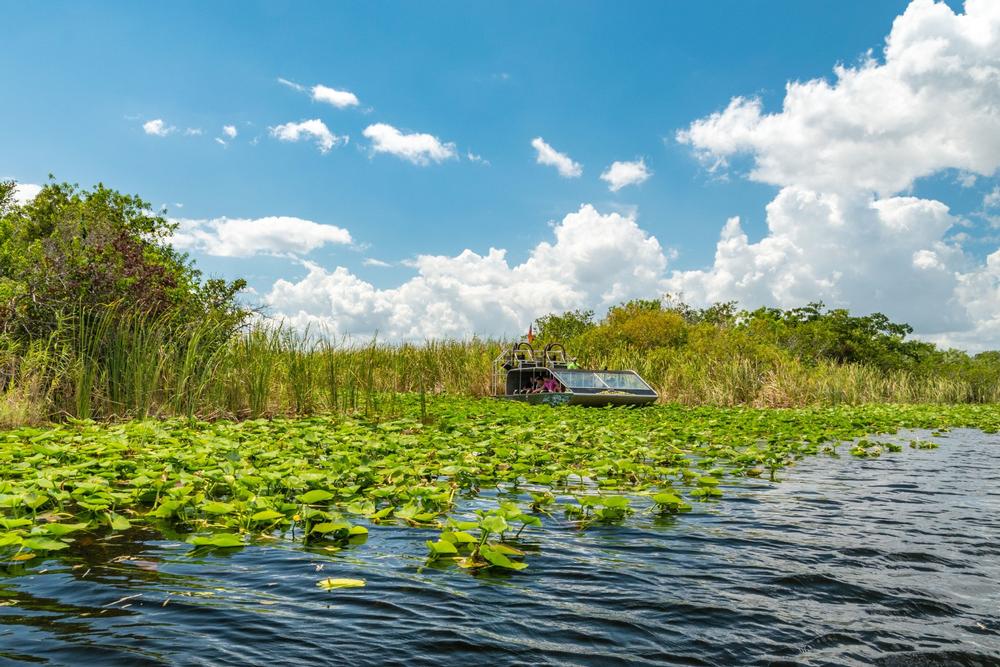 Sawgrass Recreation Park