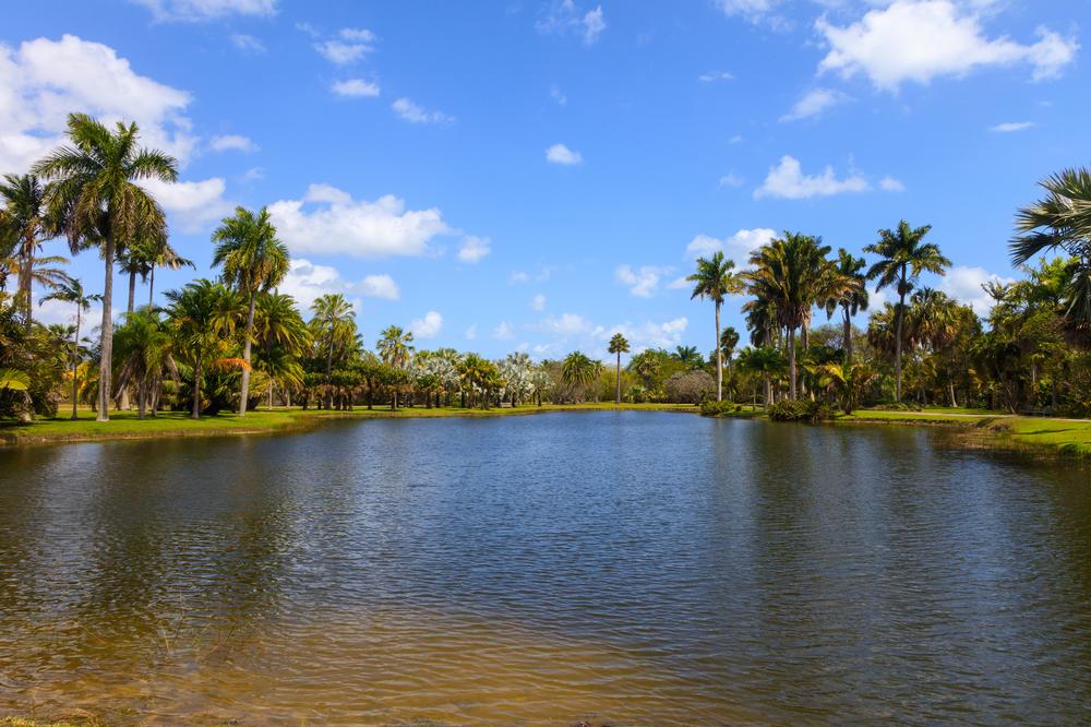 Fairchild Tropical Botanic Gardens