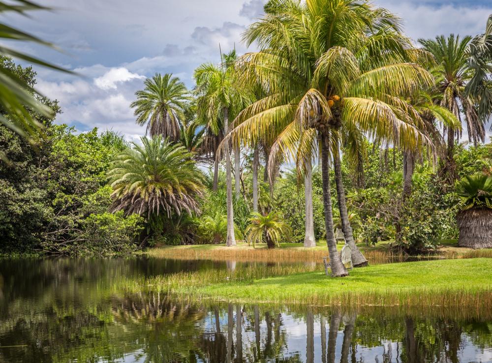 Fairchild Tropical Botanic Garden