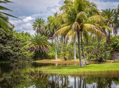 Fairchild Tropical Botanic Garden | Fun & Affordable Vacation Ideas in Miami with Kids