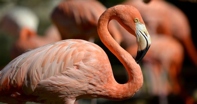 Milwaukee County Zoo