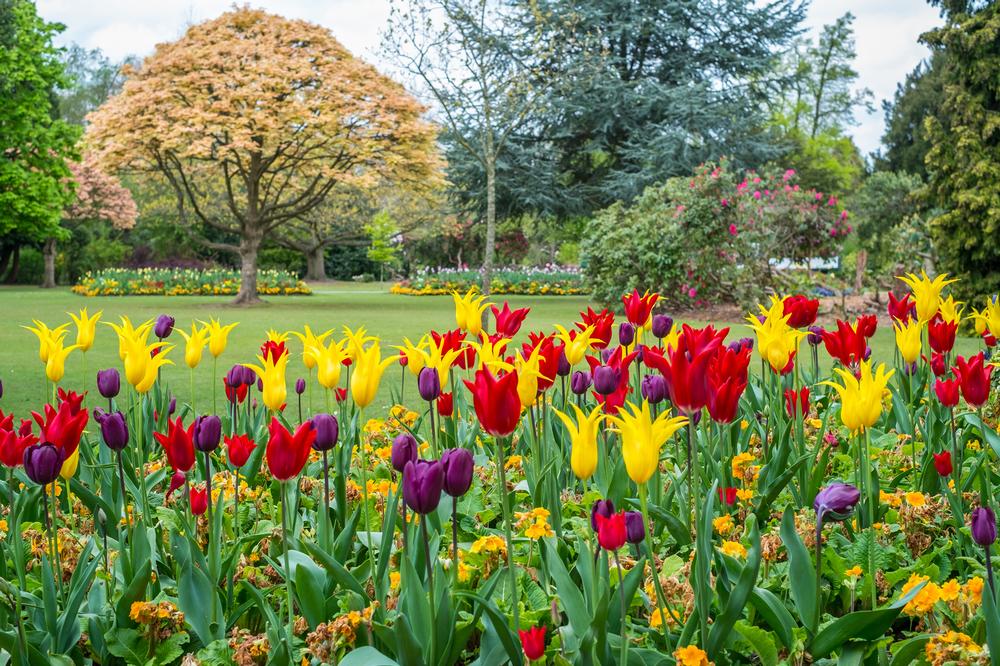 Relax With Lakeside Walks, Gardens, and Outdoor Fun at Cannon Hill Park
