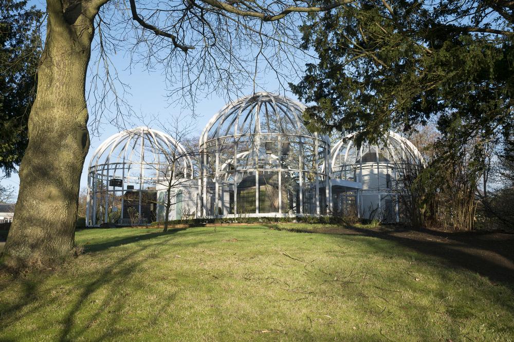 Stroll Through Exotic Glasshouses and Tranquil Gardens at Birmingham Botanical Gardens
