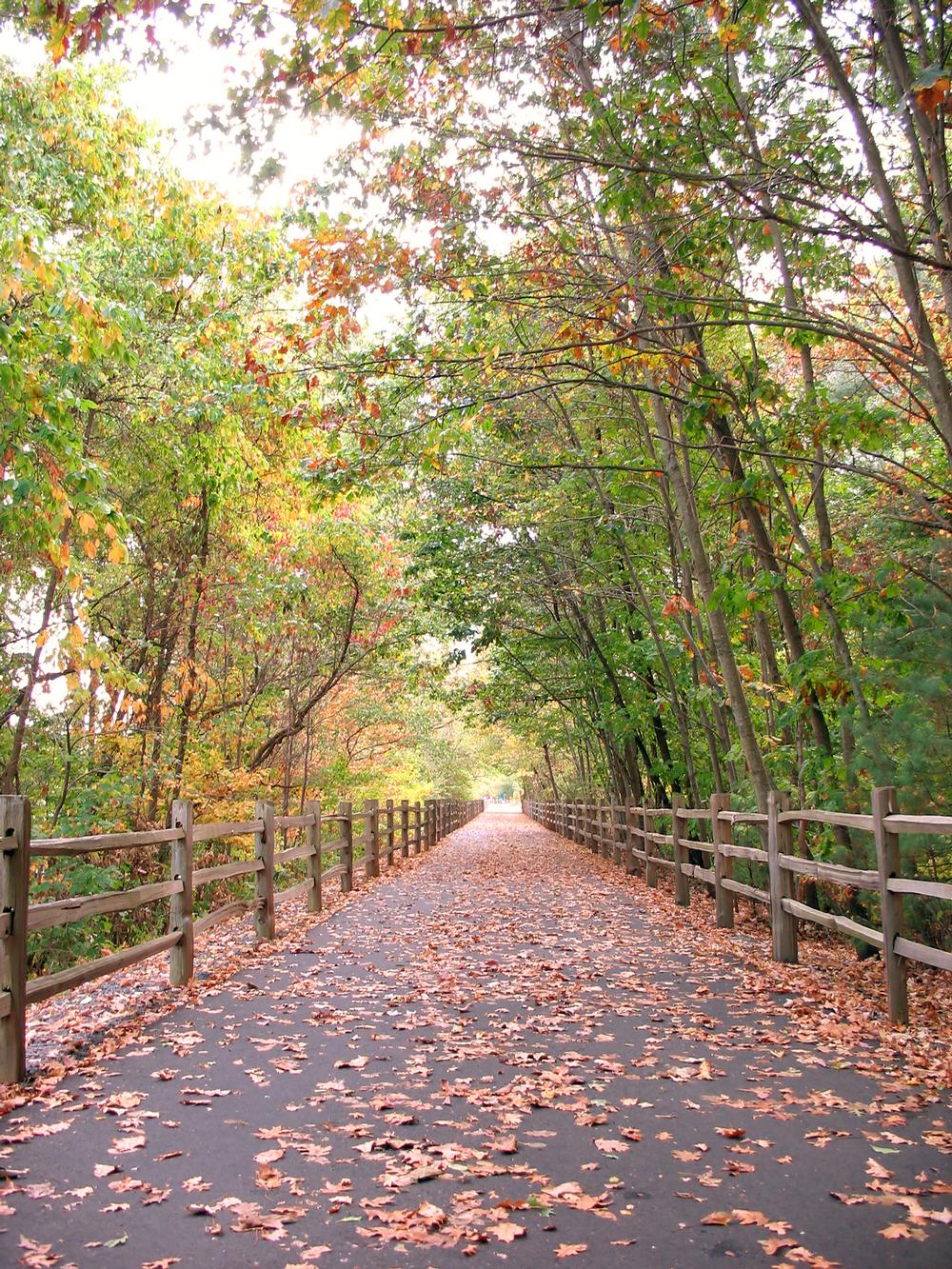 Farmington Canal Heritage Trail
