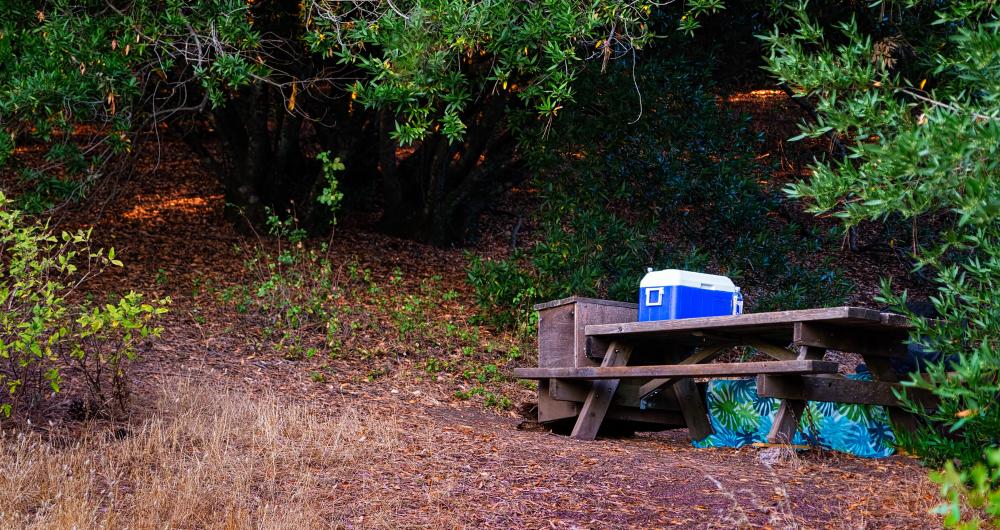 Morro Bay Camping