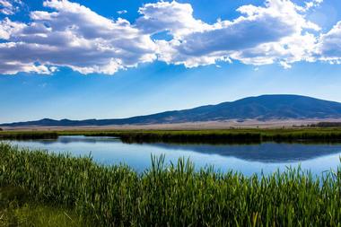 Monte Vista National Wildlife Refuge