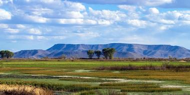 Alamosa National Wildlife Refuge