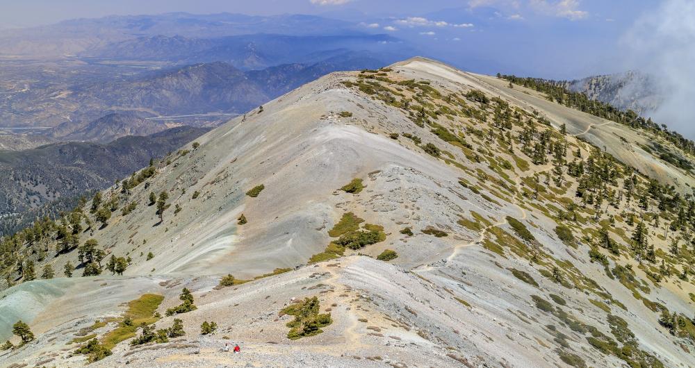 Mt Baldy Elevation