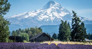 The Official Elevation of Mt Hood is 11,249 feet