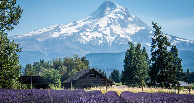 Mt Hood Elevation