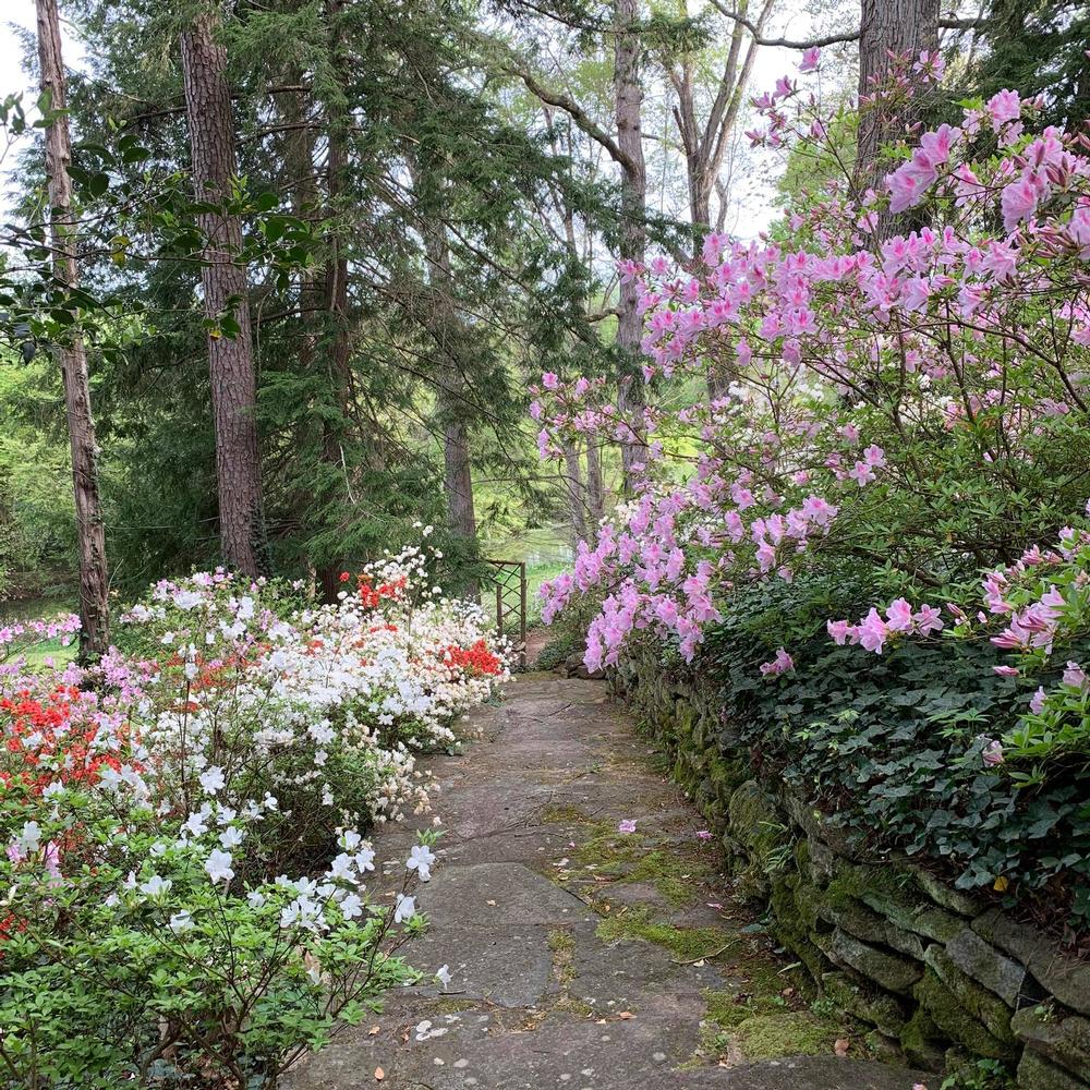 Wander Through Natural Beauty at Dunaway Gardens