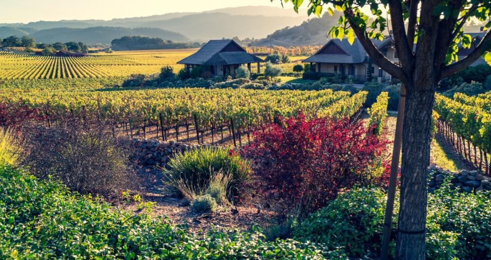 25 Napa Valley Hotels