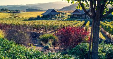 25 Napa Valley Hotels