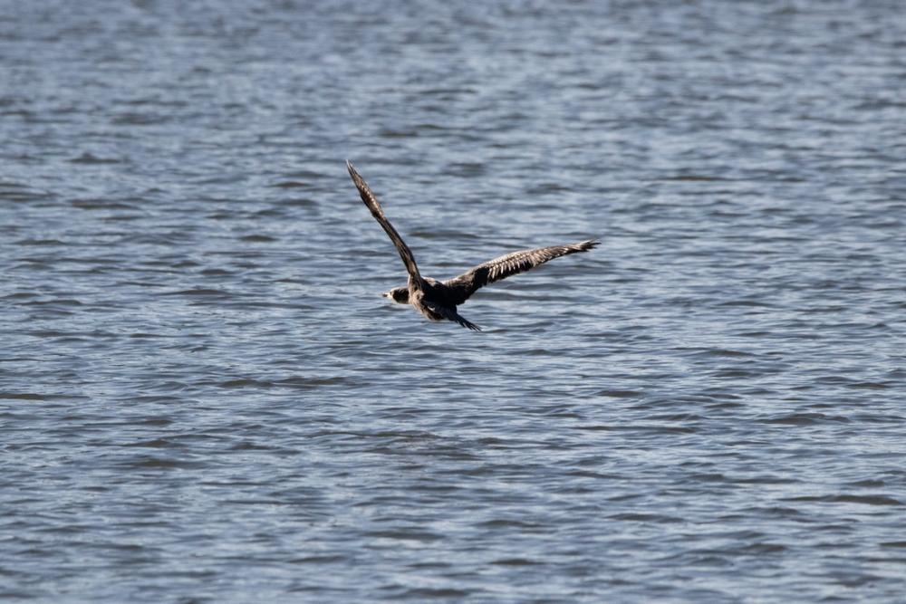 Soak Up the Sun at Lake Manawa State Park