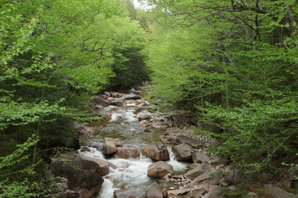 Explore Peaks, Lakes, and Legends in Franconia Notch State Park