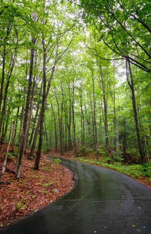 Bike or Stroll the Scenic Stretch of the Franconia Notch Recreation Path