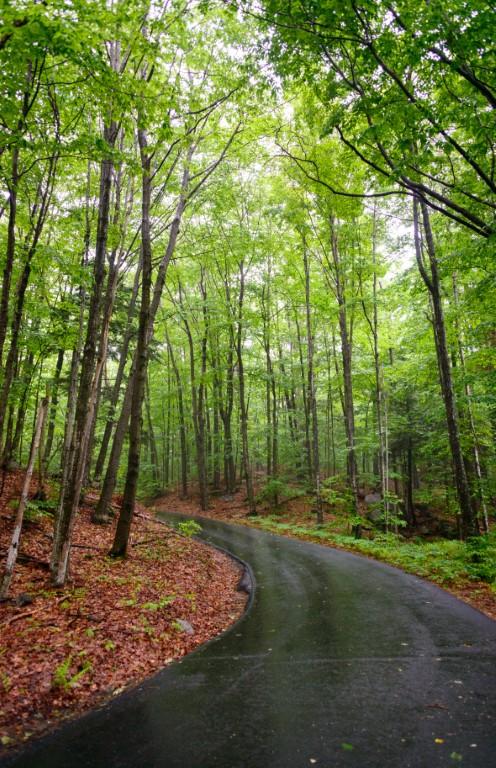 Franconia Notch Recreation Path