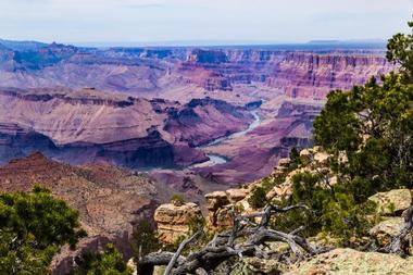 Elevation of the Grand Canyon