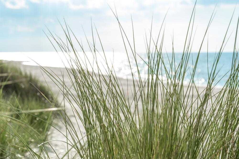 Crescent Beach State Park - Only 20 minutes from Portland