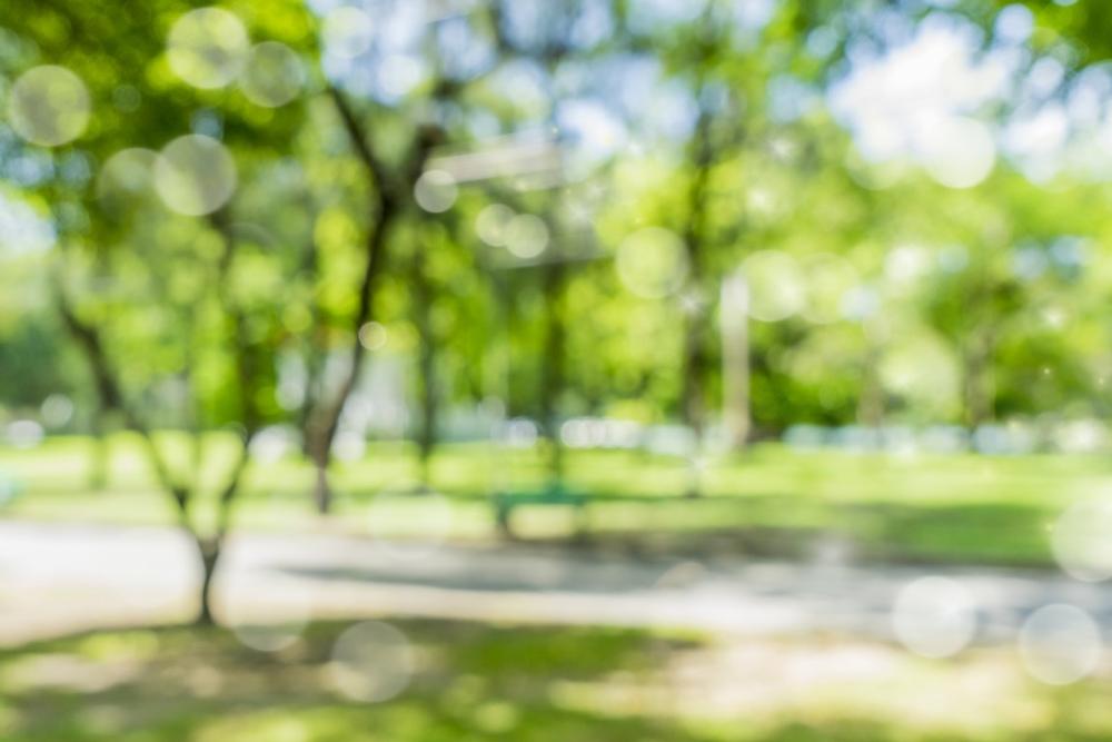 Stroll, Play, and Reflect at the Expansive Triad Park