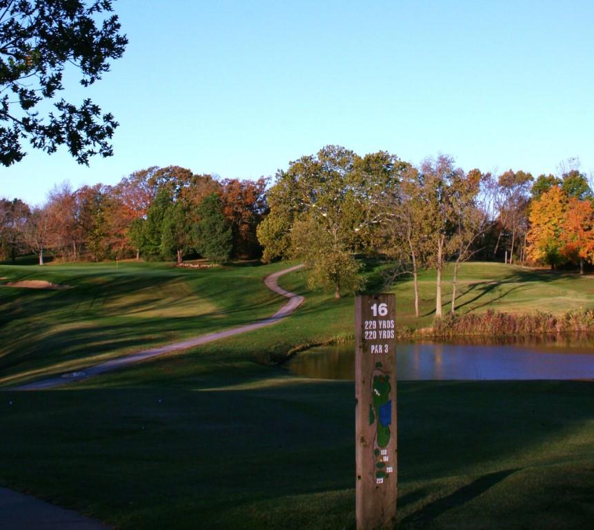 If You’re Ready to Tee Off in Style, Play at Sunflower Hills Municipal Golf Course
