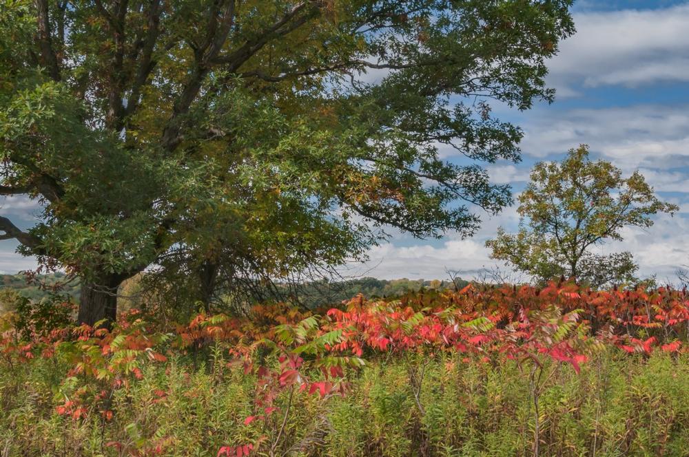 Afton State Park | Where to Go Camping in Minnesota