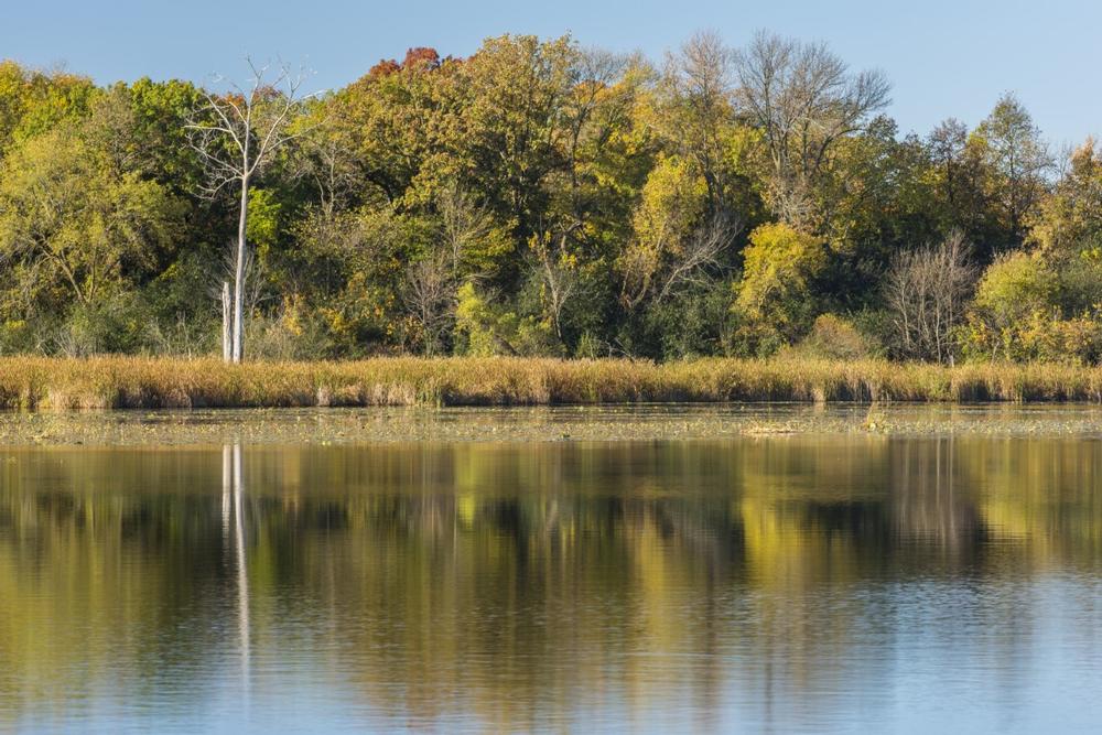 Lake Maria State Park | Where to Go Camping in Minnesota