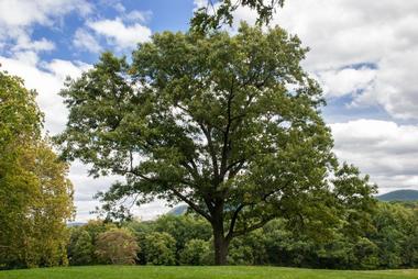 Storm King Art Center