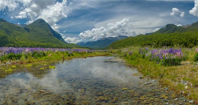 Fiordland