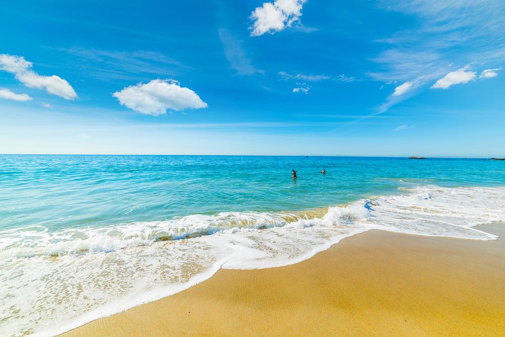 Surf, Picnic, and Relax by the Ocean at Doheny State Beach