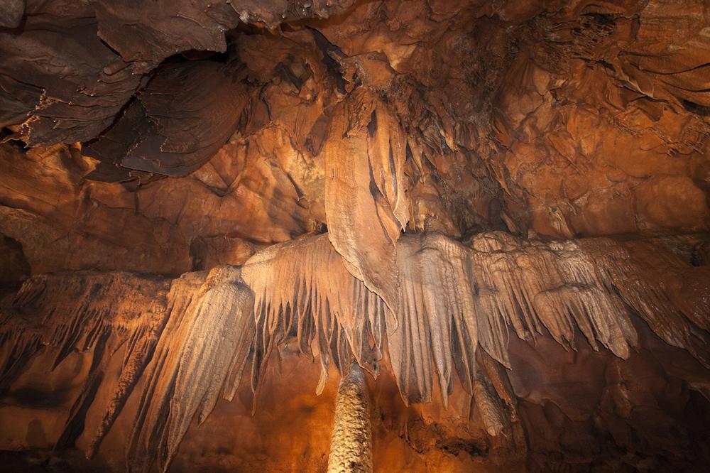 Admire Mammoth Cave National Park