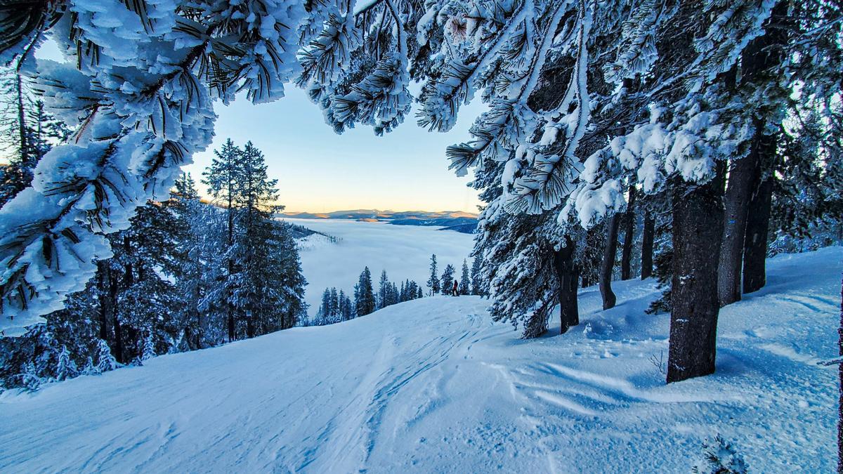 Winter scenery