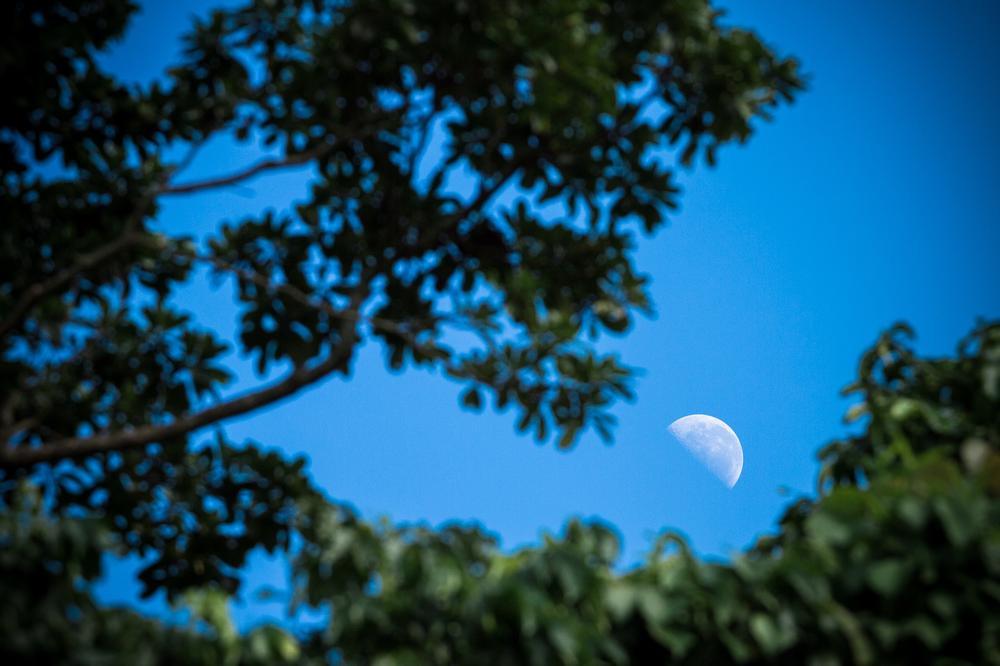 Hike, Swim, and Picnic Among Scenic Forests at Breakheart Reservation
