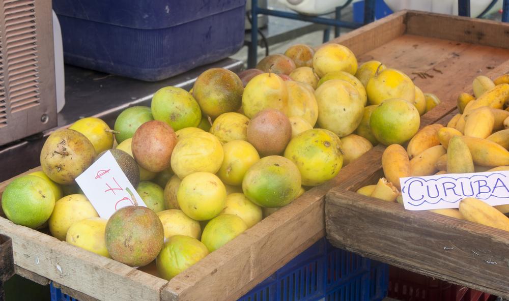 Taste and Shop Your Way Through San José’s Bustling Central Market