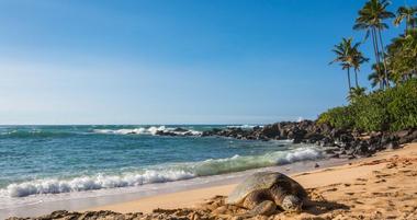 North Shore of Oahu Beaches