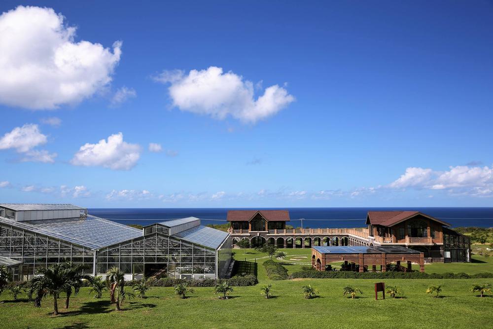 Experience Sustainable Beauty at St. Kitts Eco-Park