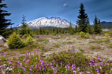 Mount St Helens