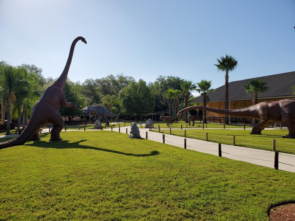 Roam Prehistoric Paths at Dinosaur World