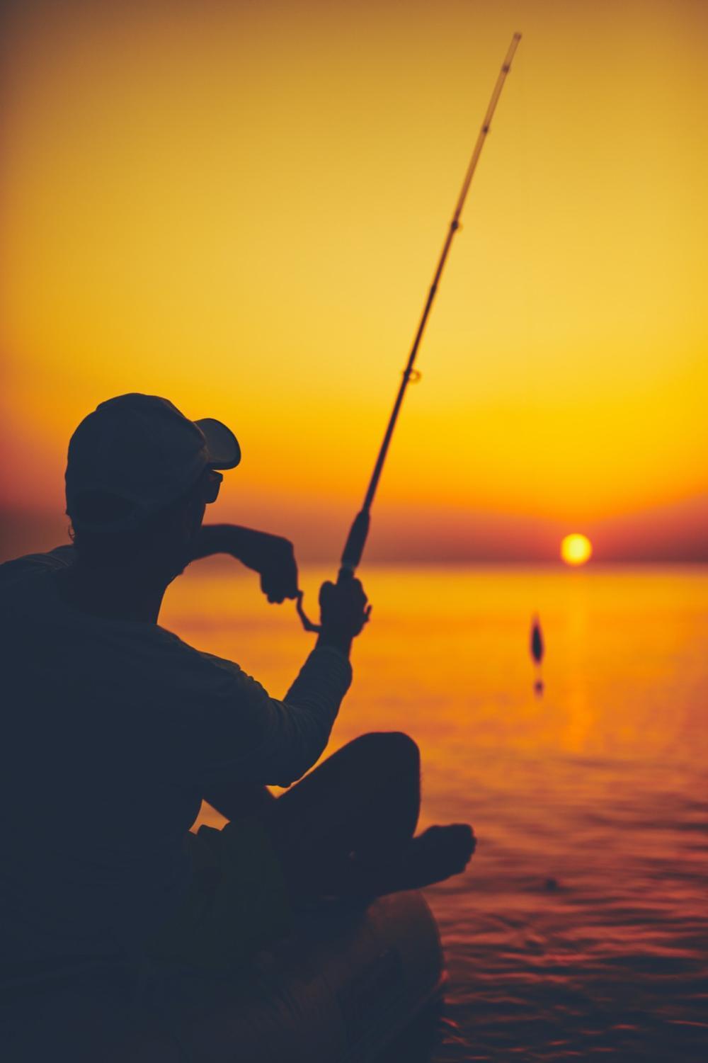 Types of Fish to Catch at Point Loma