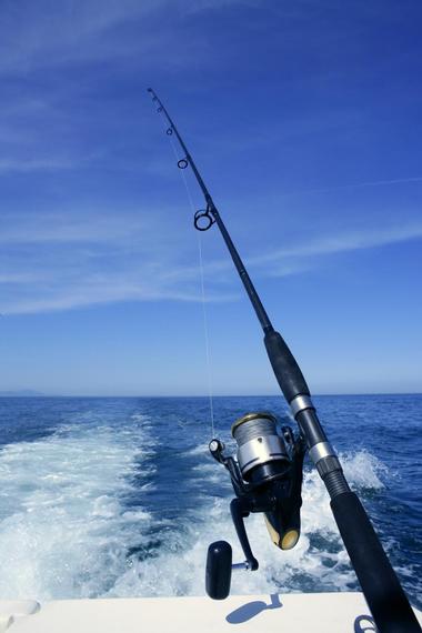 Point Loma Fishing Charters