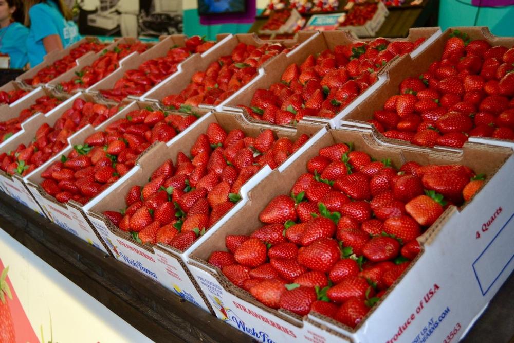 If You Love Classic Festivals, Celebrate at the Florida Strawberry Festival
