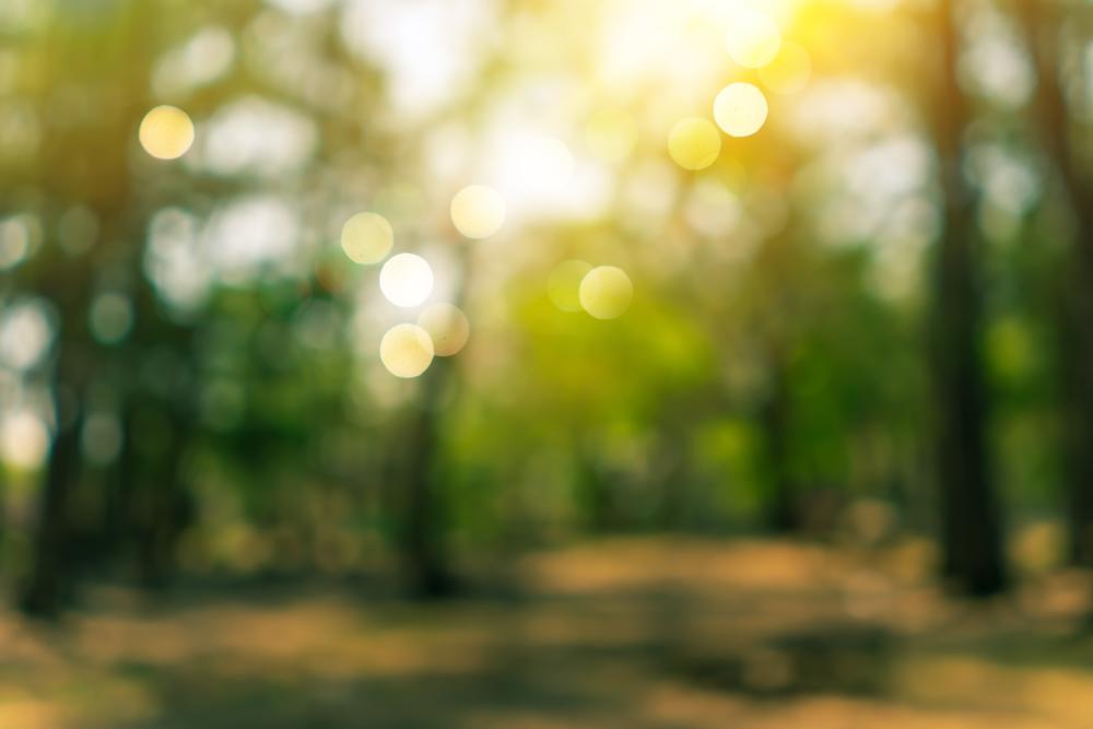 Soak in Scenic Views and Nature Walks at Eagle Point Park
