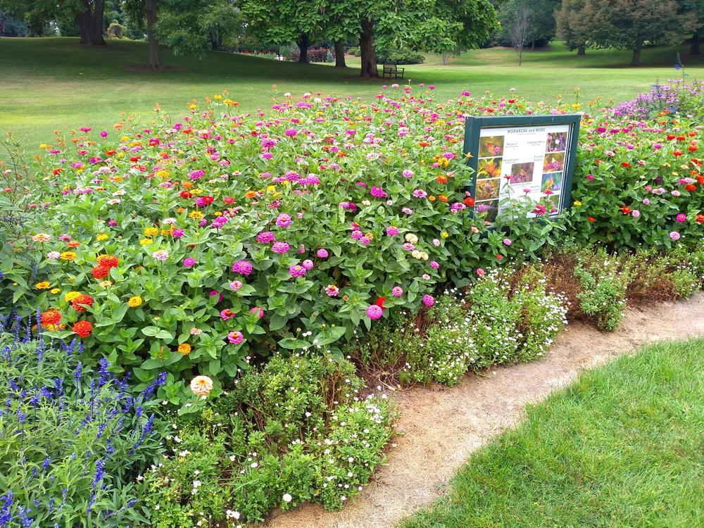 Stroll Through Stunning Gardens and Collections at Bickelhaupt Arboretum