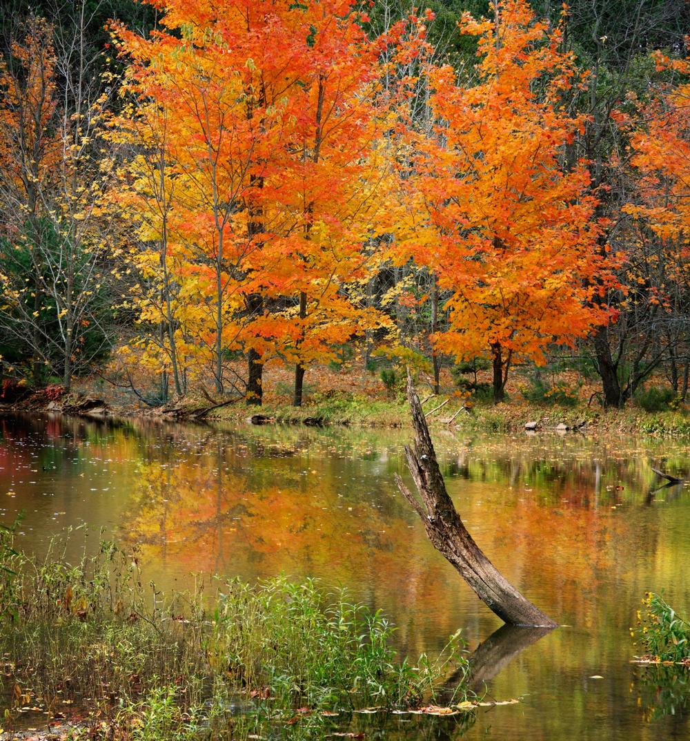 Caesar Creek State Park - 40 minutes from Dayton