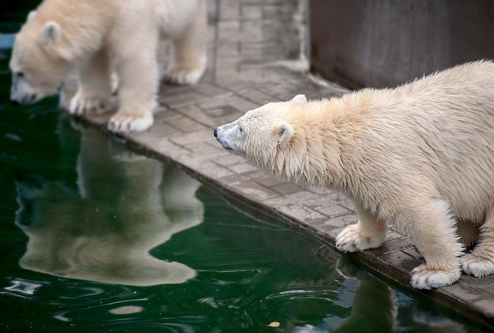 Columbus Zoo and Aquarium