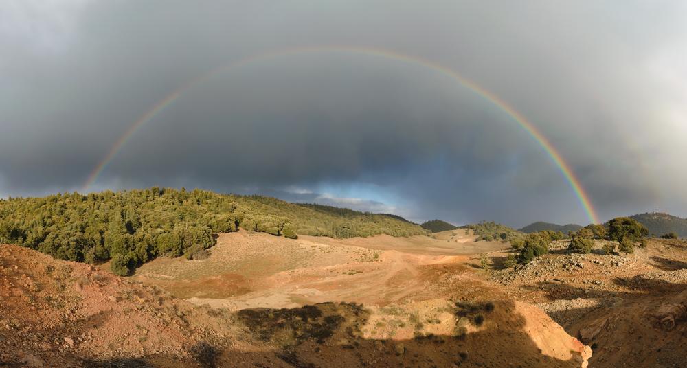 Explore Ifrane National Park and Find Snow, Cedars, and Wild Macaques