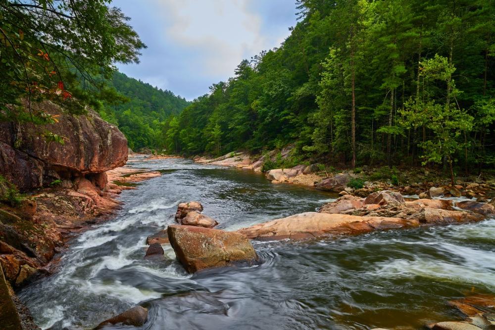 Hike Through History and Waterfalls at Wilson Creek and Feel the Wild Run Free