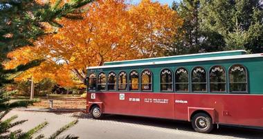 Oli's Trolley