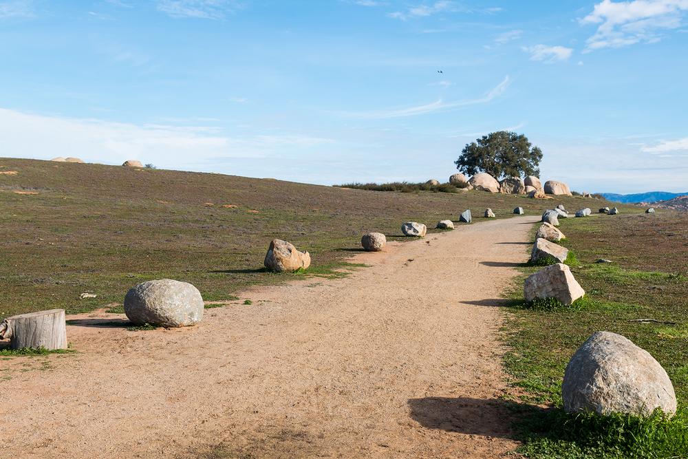 Hike and Explore: Reconnect with Nature at Ramona Grassland Preserve
