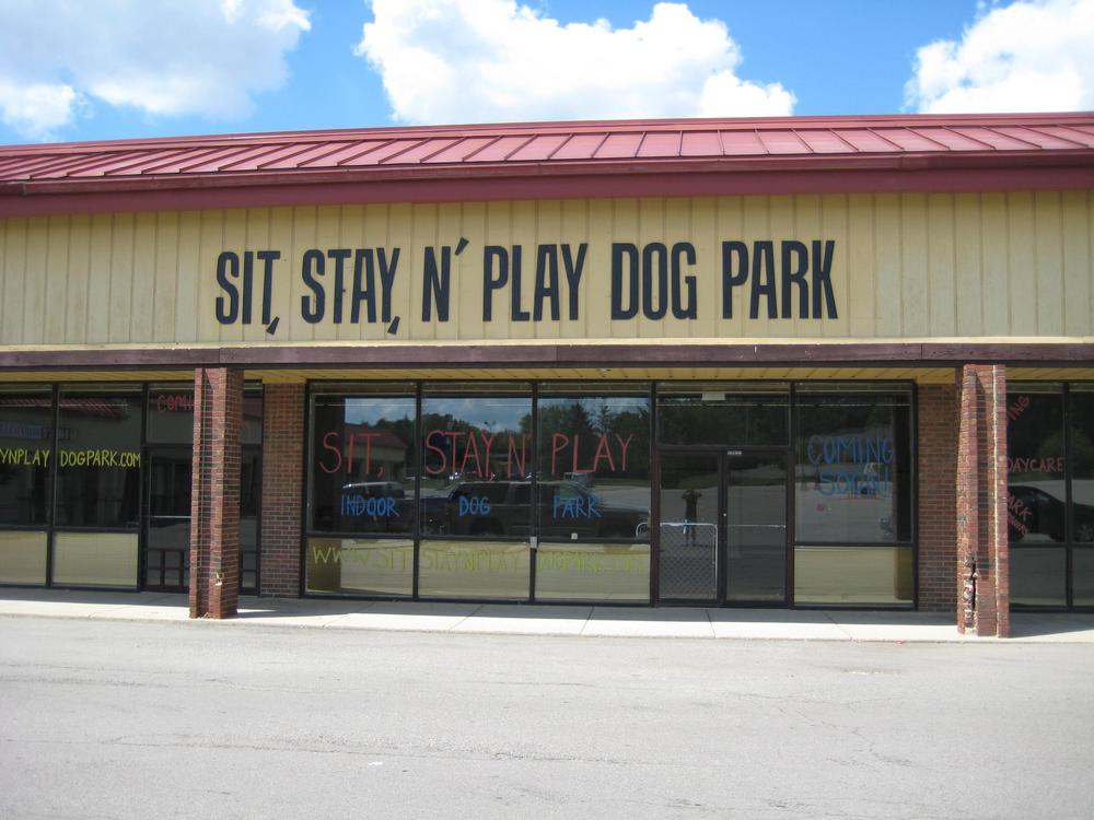Strengthen Your Bond and Sharpen Skills at Sit, Stay, N' Play